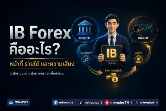 ไอบี Forex คืออะไร