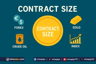 contract size (ขนาดสัญญา) คืออะไร